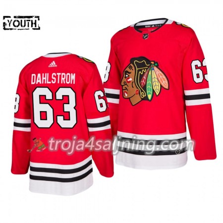 Chicago Blackhawks tröja Carl Dahlstrom 63 2019-2020 Adidas Röd Authentic - NHL Tröjor Barn Chicago Blackhawks tröja Carl Dahlstrom 63 2019-2020 Adidas Röd Authentic - NHL Tröjor Barn